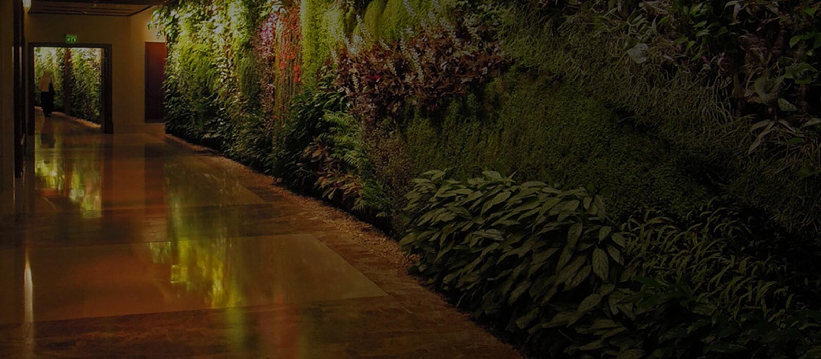 Make The Most Out Of Your Yard