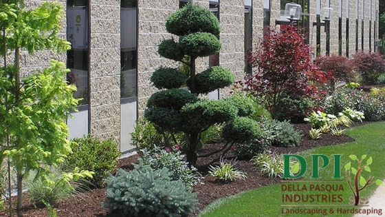 Professional Landscape Designers