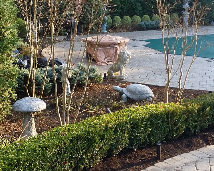 Hardscape - DPI