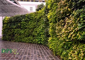green wall landscape
