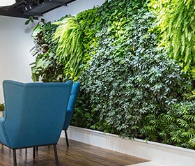 Green Walls