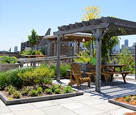 Rooftop Garden Designs